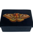 3" Emperor Moth Black Soapstone Trinket-Jewelry Box