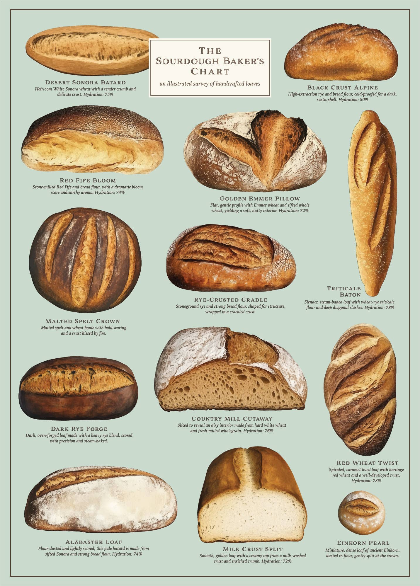 Vintage Poster  - Sourdough Bread Chart